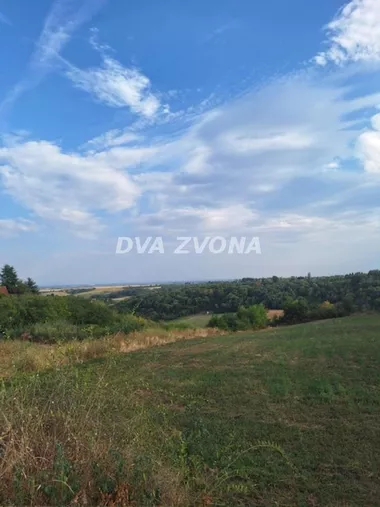 Čortanovci
