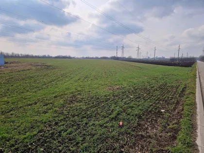 Zeleno Polje | 4zida.rs