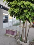 Lokal | 4zida