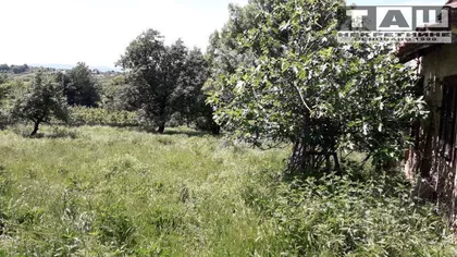 Gornja Šatornja | 4zida.rs