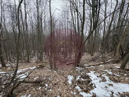 Sopot (mesto) | 4zida.rs