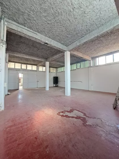 Živka Petrovića | 4zida.rs