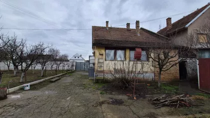 Bački Gračac | 4zida.rs