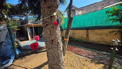 Zrenjanin, Centar | 4zida.rs