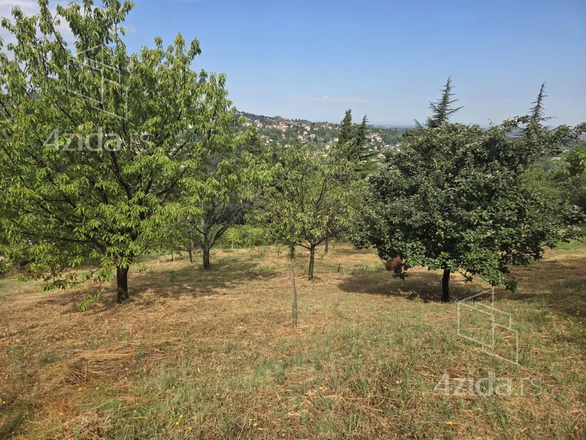 Plac | 4zida