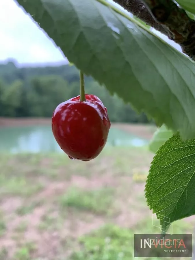 Poljoprivredno zemljište | 4zida