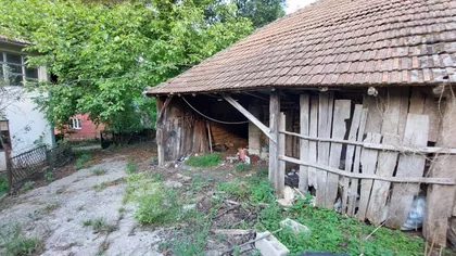 Rujište | 4zida.rs