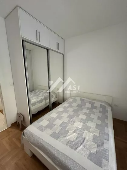 Petra Drapšina | 4zida.rs