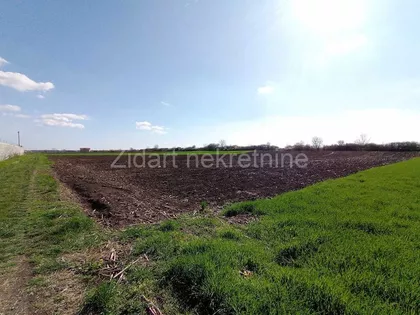 Dobanovci | 4zida.rs