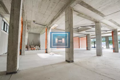 Stepa Stepanović | 4zida.rs