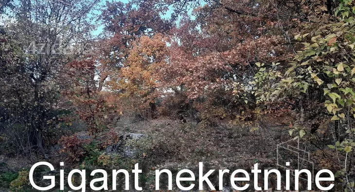 Plac | 4zida