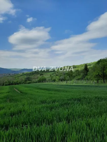 Vrdnik | 4zida.rs