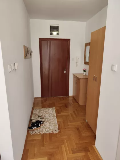 Dr Svetislava Kasapinovića | 4zida.rs