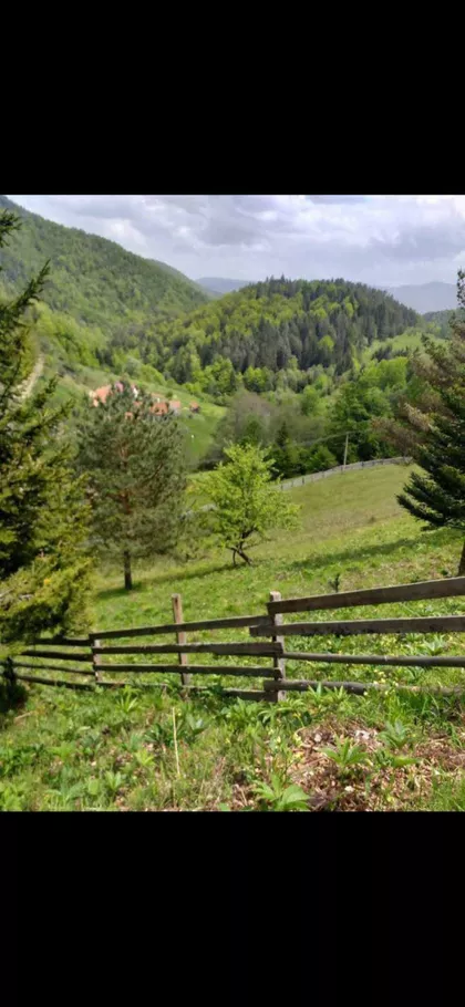 Zaovine | 4zida.rs