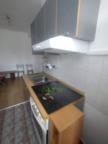 Save Ljubojeva | 4zida.rs