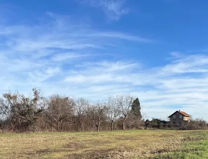 Mišeluk 3 | 4zida.rs