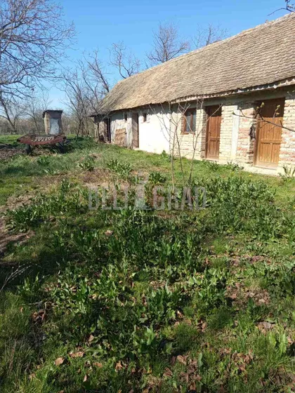 Kosančič Ivana | 4zida.rs