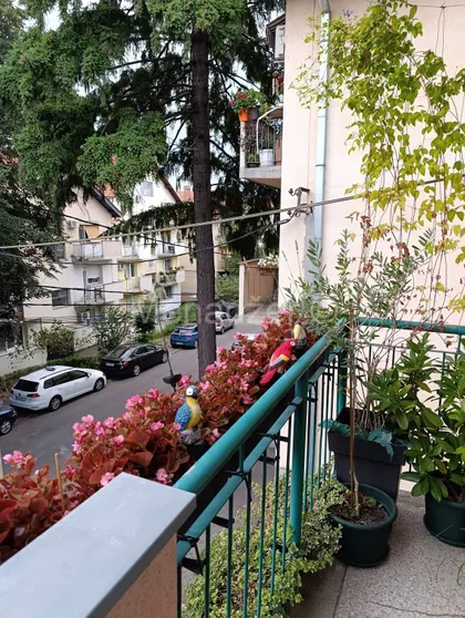 Vladimira Rolovića | 4zida.rs