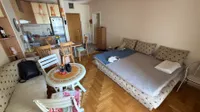 Bulevar Oslobođenja, Gradske lokacije, Novi Sad | 4zida.rs | 4zida.rs