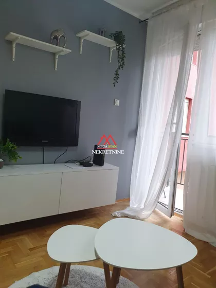 Vojvode Šupljikca | 4zida.rs