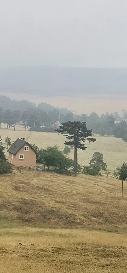 Šainovci | 4zida.rs