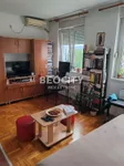 Bulevar Patrijarha Pavla (Somborski Bulevar), Telep, Gradske lokacije, Novi Sad | 4zida.rs | 4zida.rs
