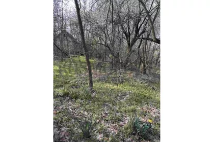 Dole Mihajlović | 4zida.rs