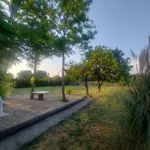 Plac | 4zida