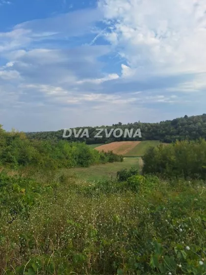 Čortanovci | 4zida.rs