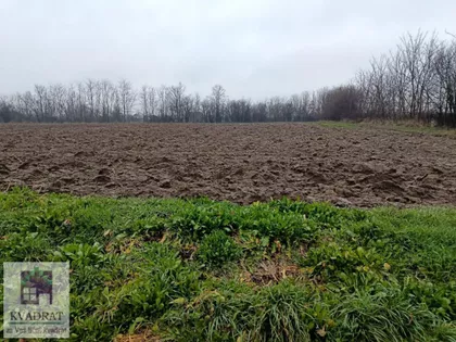 Trstenica | 4zida.rs