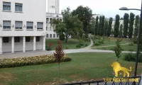 Novi Sad - Centar, Stari Grad, Gradske lokacije, Novi Sad | 4zida.rs | 4zida.rs