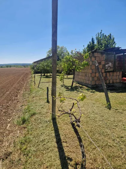 Miševac | 4zida.rs