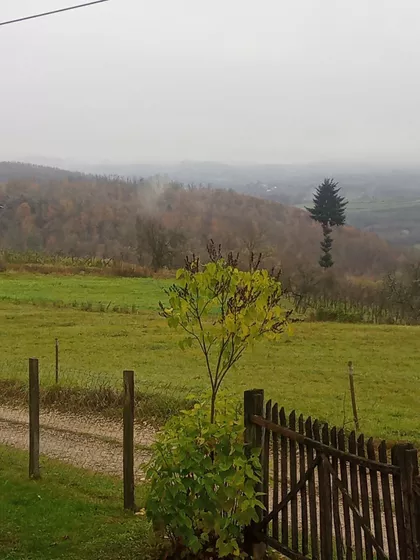 Goleševica 13 | 4zida.rs