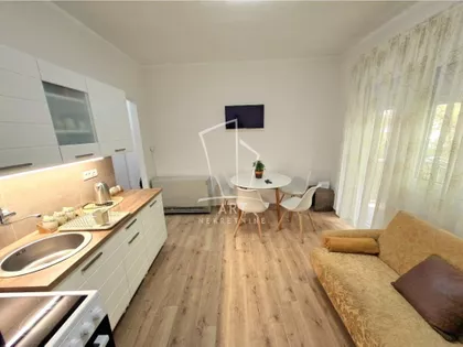 Jelisavete Načić | 4zida.rs