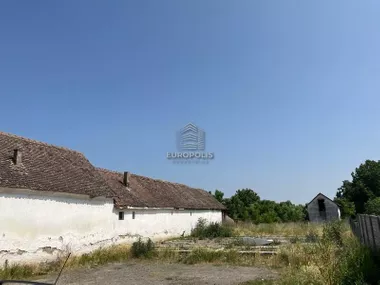Vojvođanska