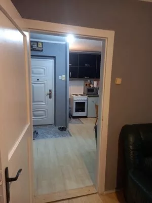 Zrenjanin, Šumica | 4zida.rs