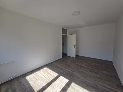 Dušana Vukasovića | 4zida.rs