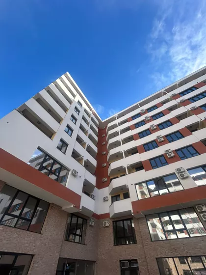 Miodraga Vlajića Šuke | 4zida.rs