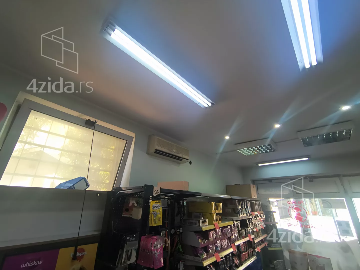 Lokal | 4zida