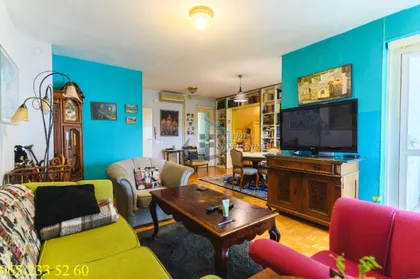 Dr Ivana Ribara | 4zida.rs