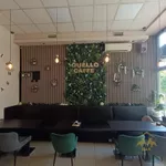 Lokal | 4zida