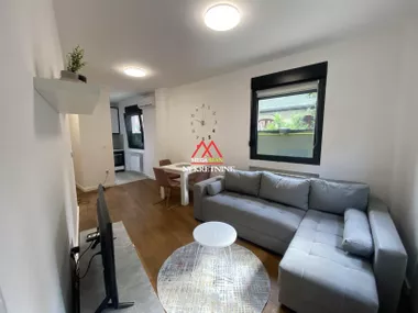 Miše Dimitrijevića