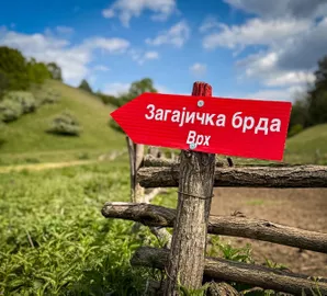 Šušara, Okolne lokacije, Vršac, građevinsko zemljište | 4zida.rs