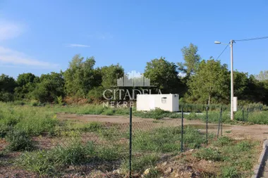 Ostružnica