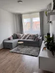 Nova Detelinara, Detelinara, Gradske lokacije, Novi Sad | 4zida.rs | 4zida.rs