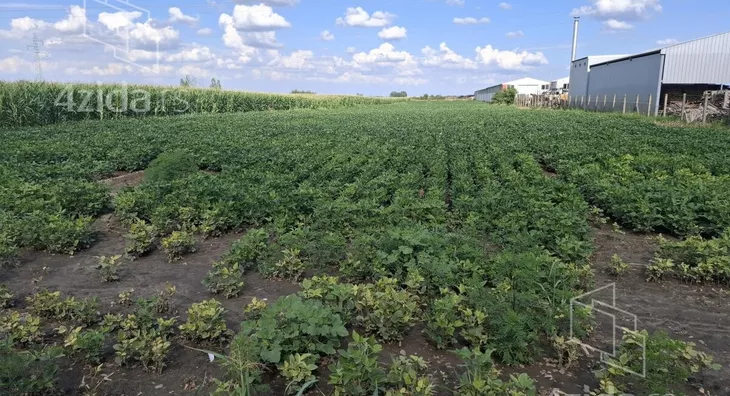 Poljoprivredno zemljište | 4zida