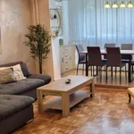 Detelinara, Gradske lokacije, Novi Sad | 4zida.rs | 4zida.rs