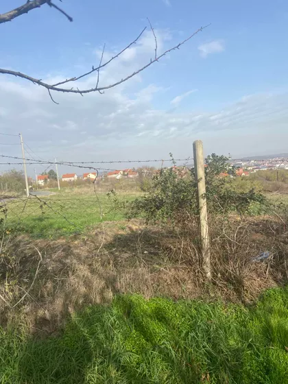 Strazarska kosa | 4zida.rs