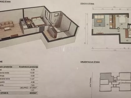 Lazara Avramovića | 4zida.rs