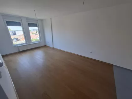 Salajka | 4zida.rs